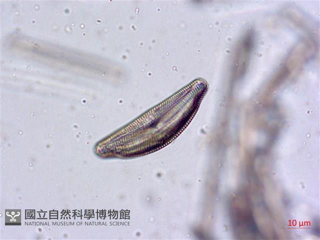 登錄號:A00004480藏品圖，第5張