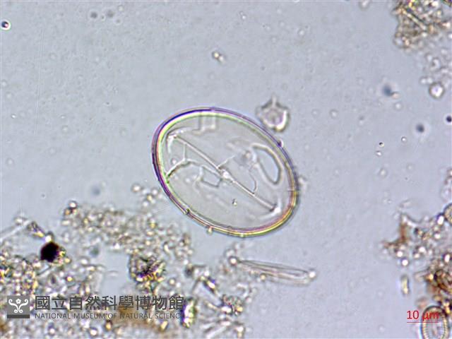 登錄號:A00004483藏品圖，第5張