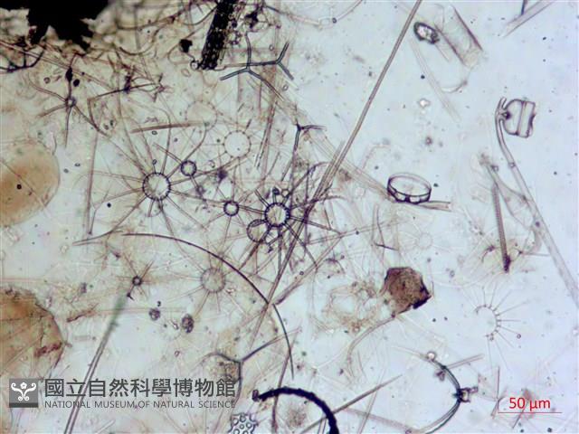 登錄號:A00004652藏品圖，第12張