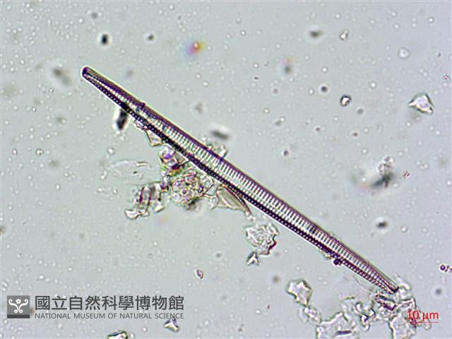登錄號:A00004672藏品圖，第12張