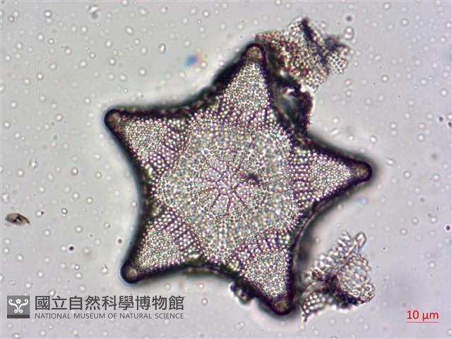 登錄號:A00004476藏品圖，第11張