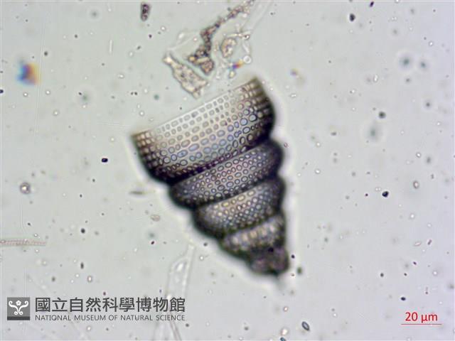 登錄號:A00004654藏品圖，第12張