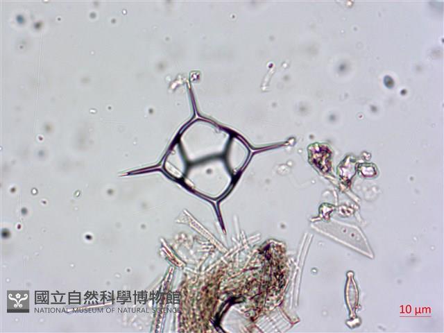 登錄號:A00004657藏品圖，第12張