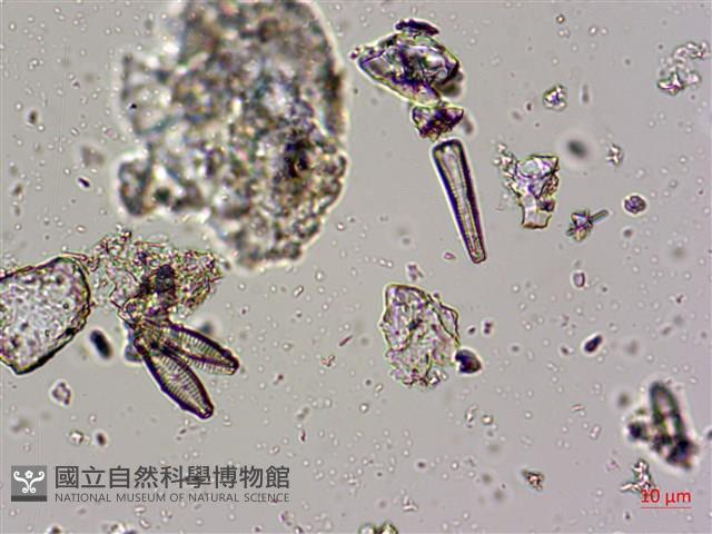 登錄號:A00004673藏品圖，第12張