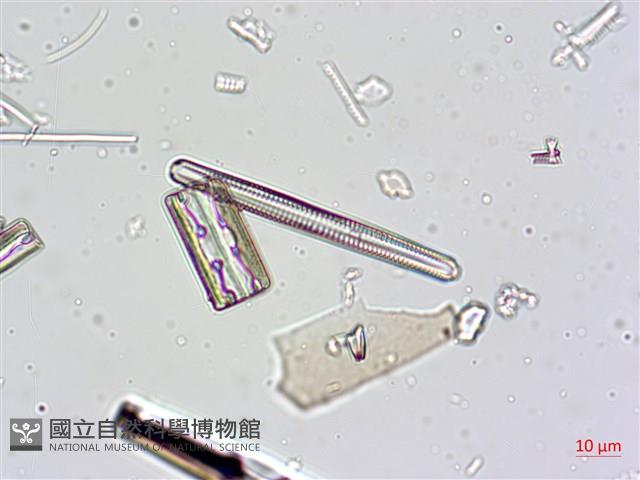 登錄號:A00004632藏品圖，第10張