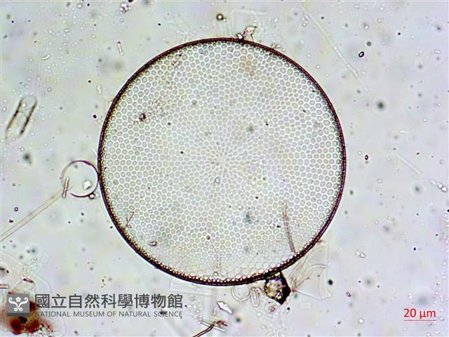 登錄號:A00004652藏品圖，第10張