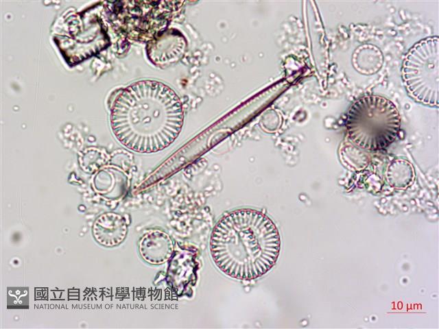 登錄號:A00004612藏品圖，第10張
