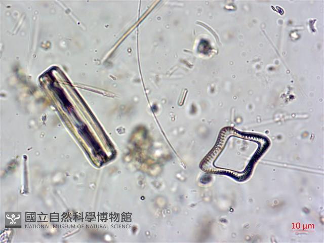 登錄號:A00004602藏品圖，第10張
