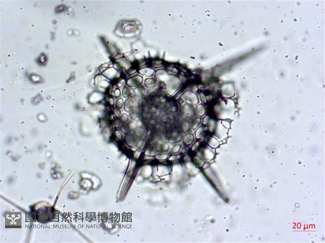 登錄號:A00004656藏品圖，第10張