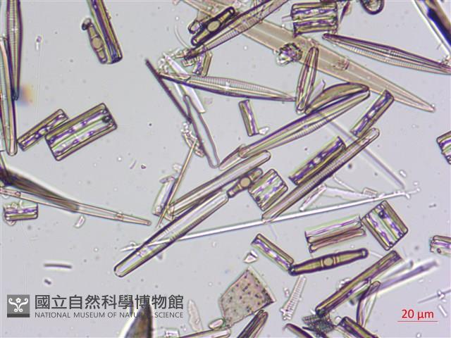 登錄號:A00004634藏品圖，第10張