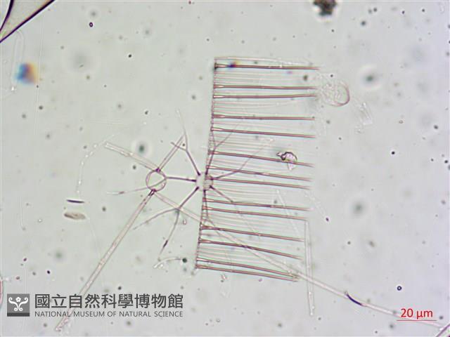 登錄號:A00004654藏品圖，第10張