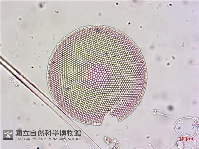登錄號:A00004655藏品圖，第9張