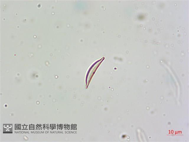 登錄號:A00004675藏品圖，第10張