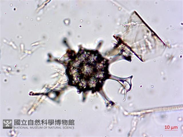 登錄號:A00004651藏品圖，第10張