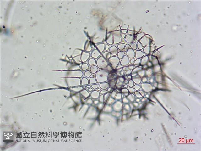 登錄號:A00004653藏品圖，第10張