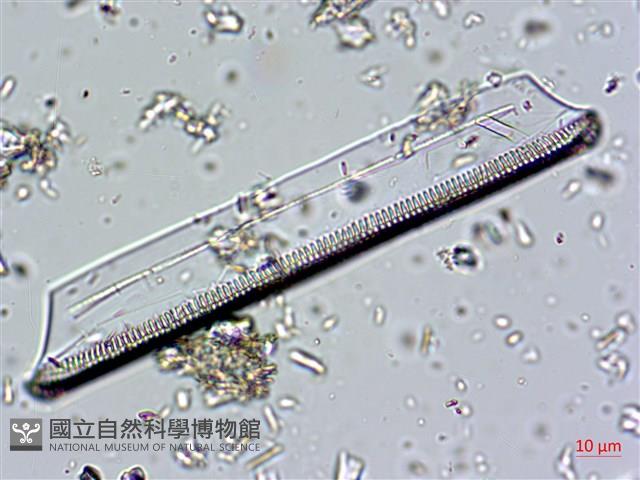 登錄號:A00004673藏品圖，第10張
