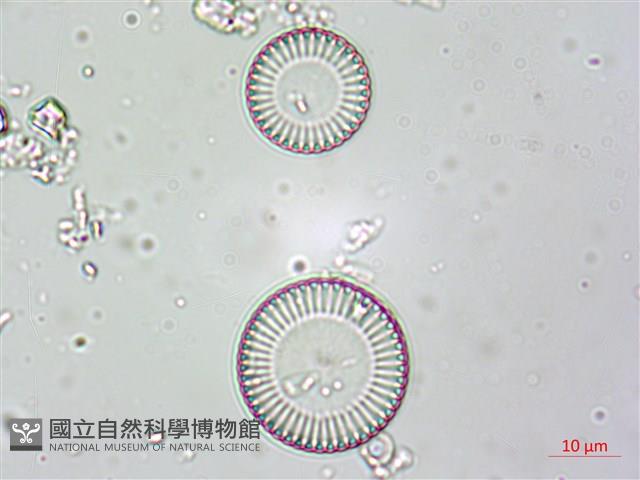 登錄號:A00004613藏品圖，第10張