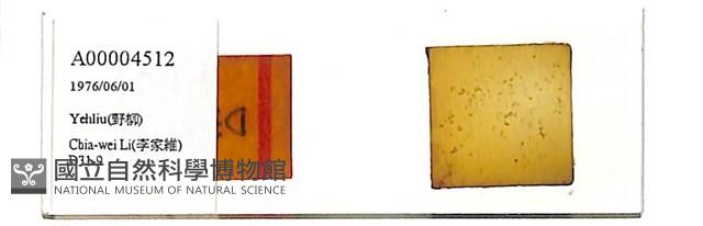 登錄號:A00004512藏品圖，第1張