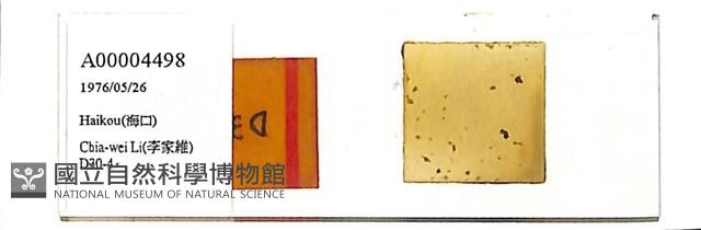 登錄號:A00004498藏品圖，第1張
