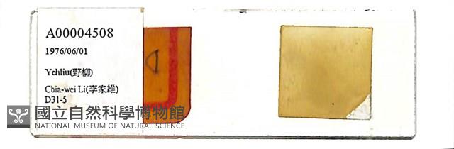 登錄號:A00004508藏品圖，第1張