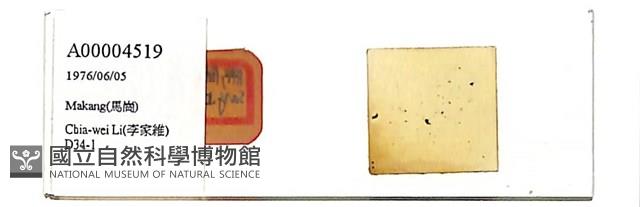 登錄號:A00004519藏品圖，第1張