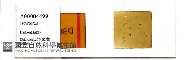 登錄號:A00004499藏品圖，第1張