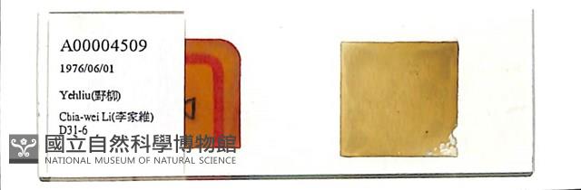 登錄號:A00004509藏品圖，第1張