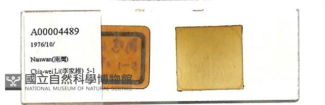 登錄號:A00004489藏品圖，第1張
