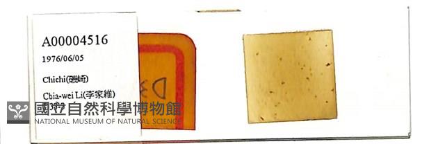 登錄號:A00004516藏品圖，第1張