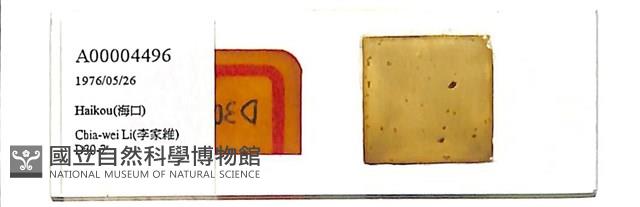 登錄號:A00004496藏品圖，第1張