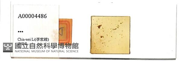 登錄號:A00004486藏品圖，第1張