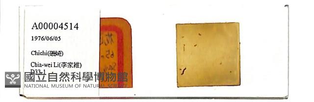 登錄號:A00004514藏品圖，第1張