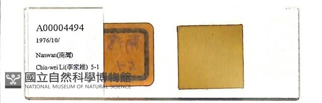 登錄號:A00004494藏品圖，第1張