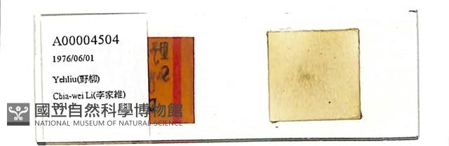 登錄號:A00004504藏品圖，第1張