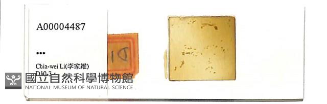 登錄號:A00004487藏品圖，第1張