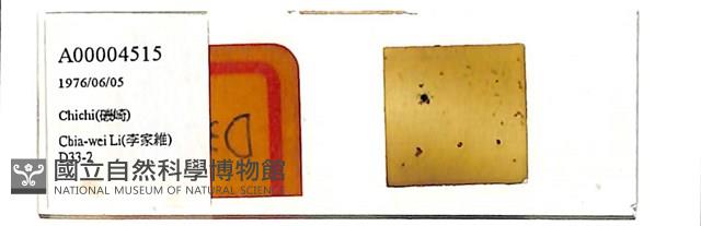 登錄號:A00004515藏品圖，第1張
