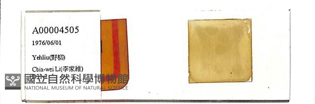 登錄號:A00004505藏品圖，第1張