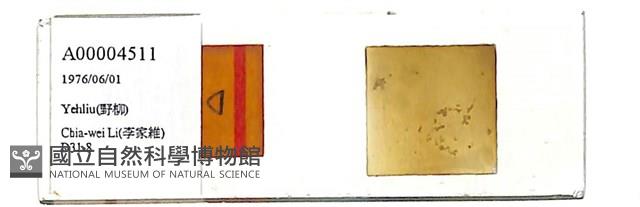 登錄號:A00004511藏品圖，第1張