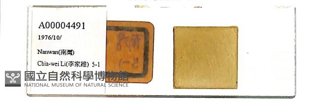 登錄號:A00004491藏品圖，第1張