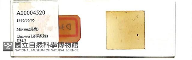 館號:A00004520藏品圖，第1張
