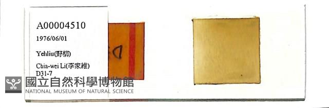 登錄號:A00004510藏品圖，第1張