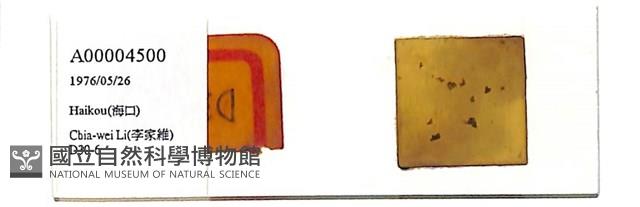 登錄號:A00004500藏品圖，第1張