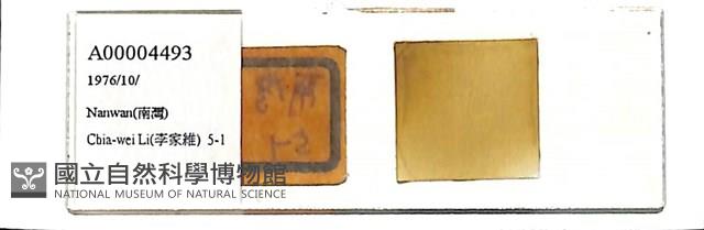 館號:A00004493藏品圖，第1張