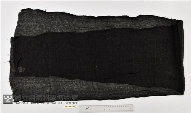 黑紗頭帕藏品圖，第1張