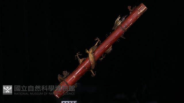 龍燭 藏品圖，第2張