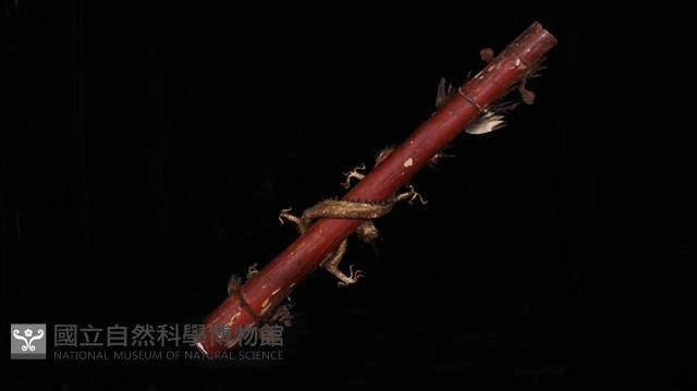 龍燭 藏品圖，第2張