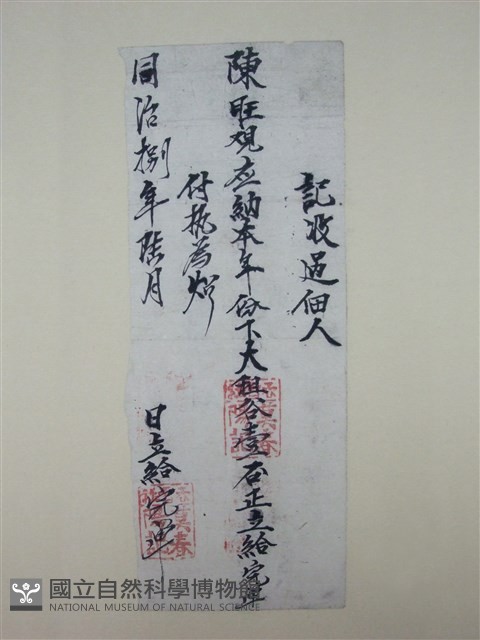 番大租執照藏品圖，第1張