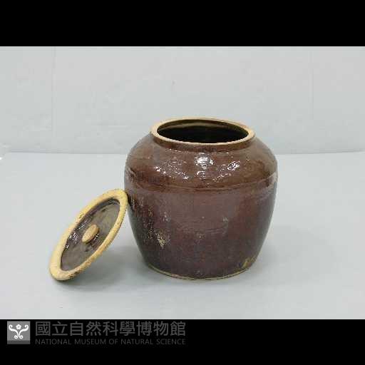 小甕(蓋)藏品圖，第1張