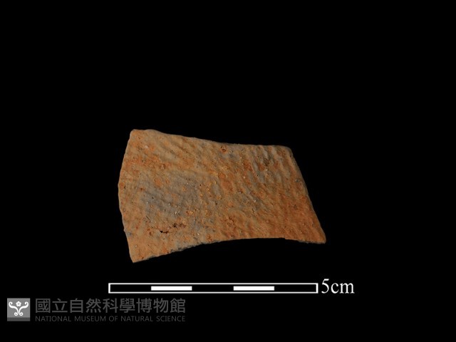陶片藏品圖，第1張