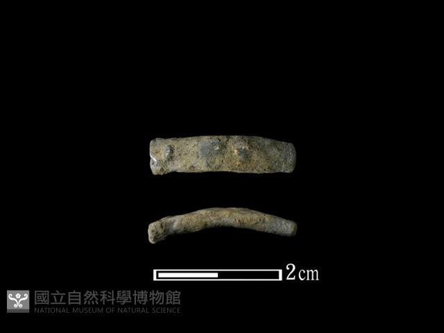 陶環藏品圖，第1張